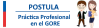 Practicas GORE