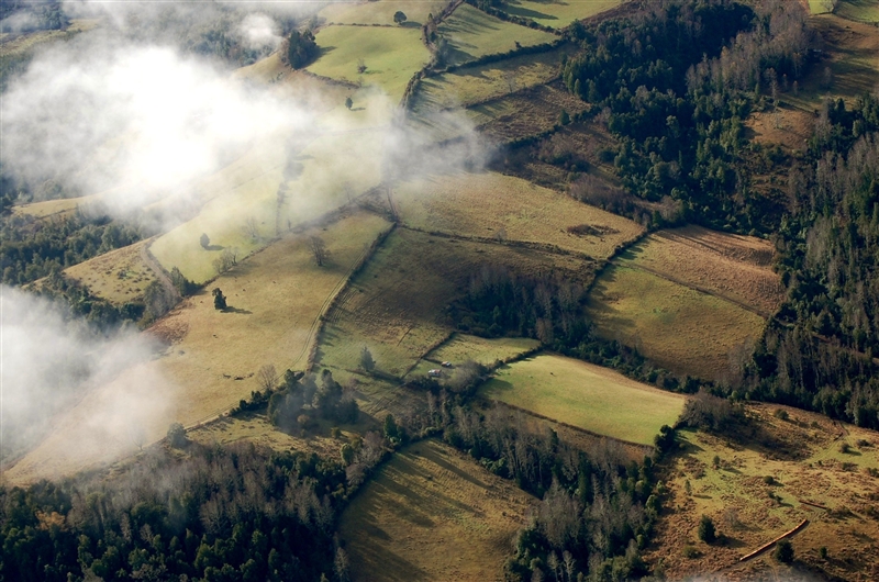 Provincia de Osorno