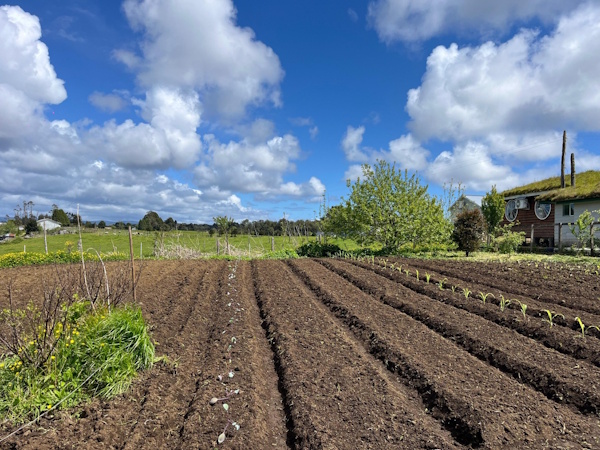Cierre exitoso del programa “Transformación, Implementación y Comercialización de la Quinoa Chilota” en Ancud