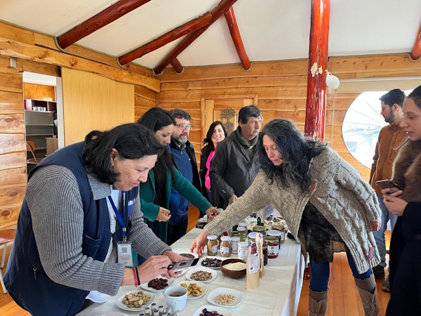 Cierre exitoso del programa “Transformación, Implementación y Comercialización de la Quinoa Chilota” en Ancud