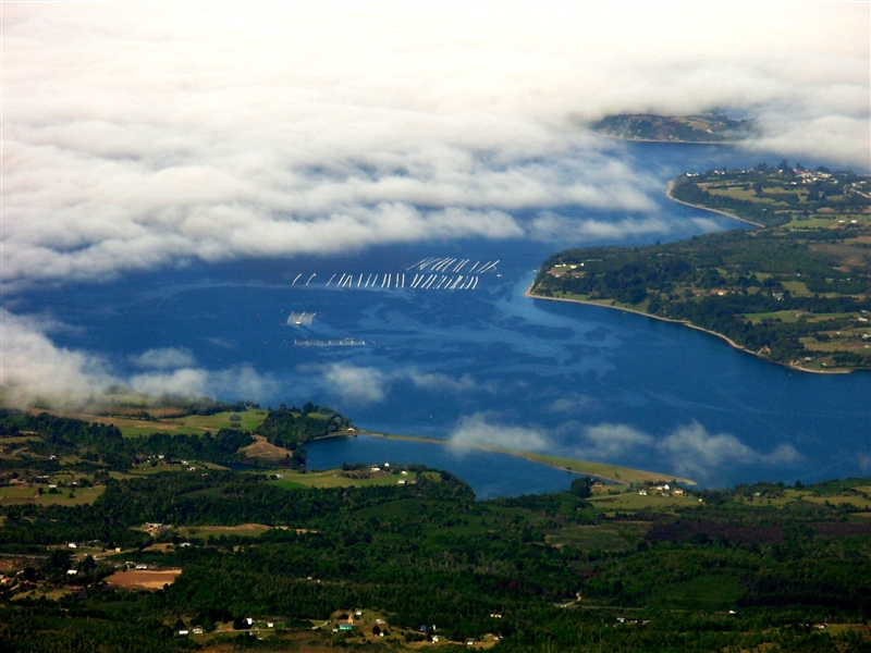 Provincia de Llanquihue