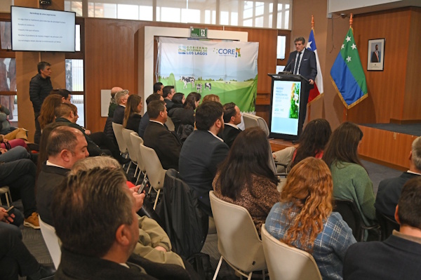 Gobernador Alejandro Santana presenta Plan Estratégico de Seguridad Pública y Protección Civil para la Región de Los Lagos