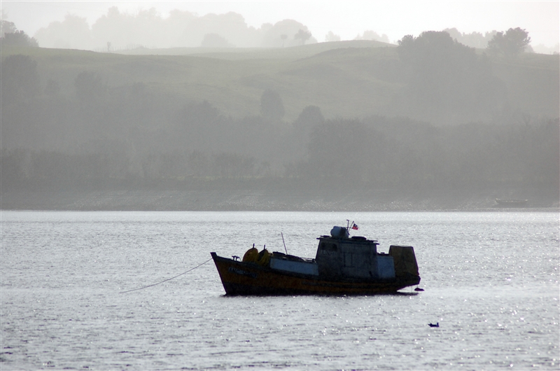 Provincia de Chiloé