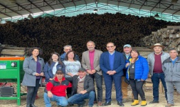 Arranca entrega de maquinaria a beneficiarios del proyecto “Ta’ Buena Tu leña Seca” en la Provincia de Osorno