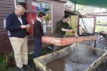 Sitio Del Gonfoterio En Osorno